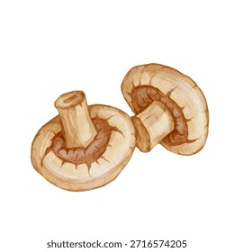 Forest mushroom, forest plants. Vector graphics.
