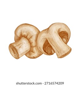 Forest mushroom, forest plants. Vector graphics.
