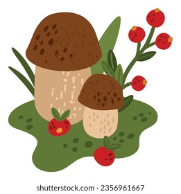 Forest mushroom. Porcini and leaves. Raw woodland food. Edible fungus. Cranberry or cowberry plant. Natural ingredient. Autumn season. Boletus in grass. Vector wild