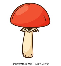 Forest mushroom with a red cap, black birch. A symbol of the forest, autumn, and harvest. Design element with outline. Doodle, hand-drawn. Flat design. Color vector illustration. Isolated on white.