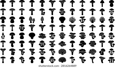 Forest mushroom silhouette mega vector bundle featuring edible chanterelle porcini tinder fungus and toxic amanita wild fungi element designs