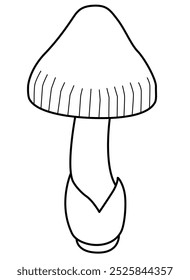 Forest mushroom small with unopened cap - vector linear picture for coloring. Outline. Autumn forest mushroom