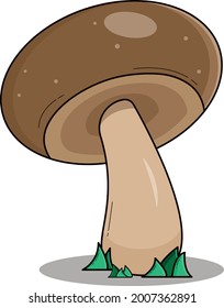 Forest mushroom. Template for the design of posters, posters. Vector illustration.
