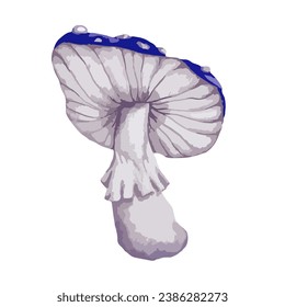 Forest mushroom toadstool fly agaric.Vector graphics.