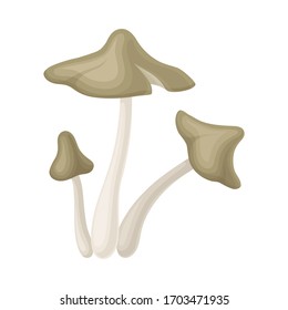 Forest Mushroom or Toadstool with Stem and Cap Isolated on White Background Vector Illustration