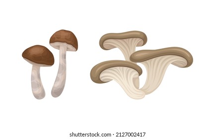 Forest Mushroom or Toadstool with Stem and Cap Isolated on White Background Vector Set