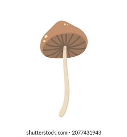 Forest mushroom. Vector illustration in flat style.