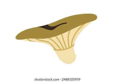 Forest mushroom, yellow night icon. Autumn fall fungus. Edible fungi, cap and stalk. Fresh natural Tricholoma equestre. Flat vector graphic illustration isolated on white background