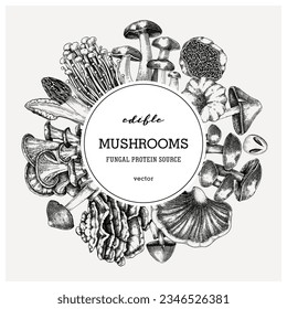 Forest mushrooms background. Edible mushrooms frame, vinatge card design template. Fungi, healthy food, vegan product sketches. Autumn hand-drawn vector illustration. 