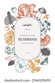 Forest mushrooms background. Edible mushrooms frame, vinatge card design. Fungi, healthy food, vegan product sketches. Autumn hand-drawn vector illustration. Engraved style design template