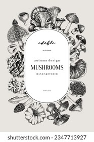 Forest mushrooms background. Edible mushrooms frame, vinatge card design. Fungi, healthy food, vegan product sketches. Autumn hand-drawn vector illustration. Engraved style design template