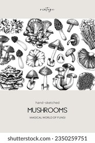 Forest mushrooms background. Edible mushrooms frame, vintage card design. Fungi, healthy food, vegan product sketches. Autumn hand-drawn vector illustration. Engraved design template