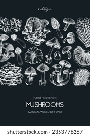 Forest mushrooms background. Edible mushrooms frame, vintage card design. Fungi, healthy food, vegan product sketches. Autumn hand-drawn vector illustration. Engraved design template on chalkboard