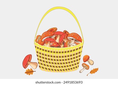 Forest mushrooms in a basket. Concept of autumn, leaf fall, harvest, Thanksgiving.
