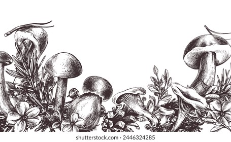 Forest mushrooms, boletus, chanterelles and blueberries, lingonberries, twigs, cones, leaves. Graphic illustration hand drawn in black ink. border, template EPS vector.