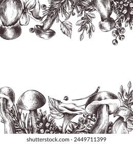 Forest mushrooms, boletus, chanterelles and blueberries, lingonberries, twigs, cones, leaves. Graphic illustration hand drawn in black ink. border, template EPS vector.