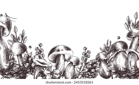 Forest mushrooms, boletus, chanterelles and blueberries, lingonberries, twigs, cones, leaves. Graphic illustration hand drawn in black ink. border, template EPS vector.