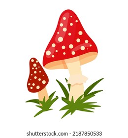 Forest mushrooms in cartoon style. Toadstools Vector illustration isolated on white background.