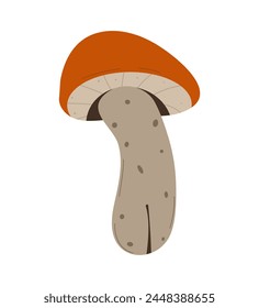 Forest Mushrooms, chanterelles and toadstools are depicted.