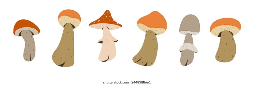 Forest Mushrooms, chanterelles and toadstools are depicted.