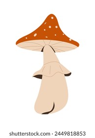 Forest Mushrooms, chanterelles and toadstools are depicted.