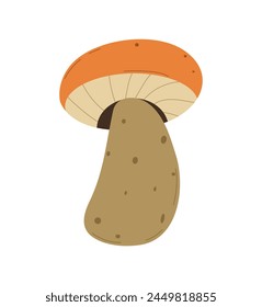 Forest Mushrooms, chanterelles and toadstools are depicted.