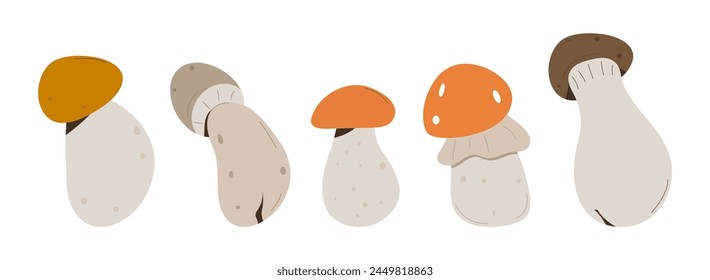 Forest Mushrooms, chanterelles and toadstools. Mushroom in hand drawing style set.