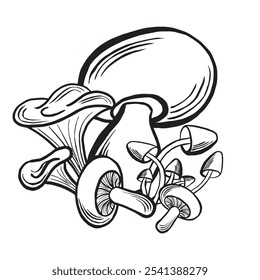 Composição de cogumelos florestais. Porcini e mel fungo, chanterelle e champignon. Acordo de colheita de outono. Ilustração de vetor desenhada à mão isolada. Clipart de outono preto e branco para embrulhar, menu