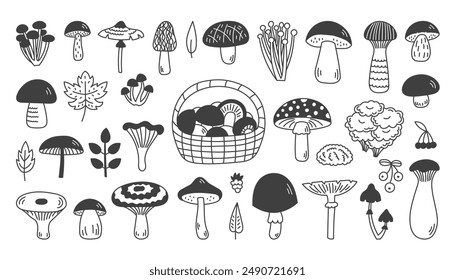 Forest Mushrooms Doodle Icons Set. Hand drawn fungus line symbols clipart. Autumn Fall Fantasy Design elements in cartoon sketch style. Isolated vector illustration