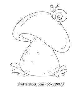 Forest mushrooms. Edible mushroom white. Coloring book vector isolated on white background.