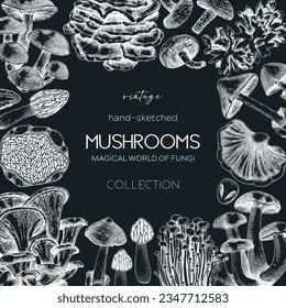 Forest mushrooms frame on chalkboard. Edible mushrooms background. Fungi, healthy food, vegan product sketches. Autumn hand-drawn vector illustration. Engraved design template, card, print, packaging