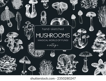 Forest mushrooms frame on chalkboard. Edible mushrooms background. Fungi, healthy food, vegan product sketches. Autumn hand-drawn vector illustration. Engraved design template, card, print, packaging