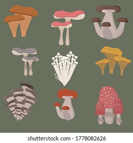 forest mushrooms freehand vector art