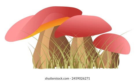 Forest mushrooms in grass in flat design. Fungus with red caps in grass. Vector illustration isolated.