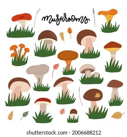 Forest mushrooms with gress flat illustrations set. Edible and fungi color drawing. Cartoon chanterelles, boletus edulis, russula, champignon isolated on white background. Flat vector illustration.