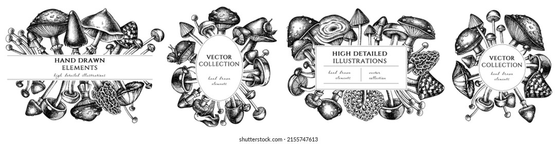 Forest mushrooms hand drawn frame templates. Vintage illustrations of mushrooms, fly agaric, blewit, etc.