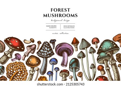 Waldpilze handgezeichnet Illustrationsdesign. Hintergrund mit Retro-Pilzen, Fliegenagar, Bleichpilz, rotem Pinienpilz, schwarzer Chanterelle, Enoki, Chanterelle, Morel-Pilz.