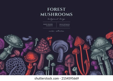 Forest mushrooms hand drawn illustration design. Background with vintage mushrooms, fly agaric, blewit, etc.