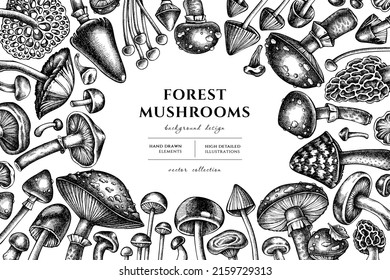 Forest mushrooms hand drawn illustration design. Background with sketch mushrooms, fly agaric, blewit, etc.