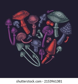 Forest mushrooms heart vintage design. Hand drawn mushrooms, fly agaric, blewit, etc.