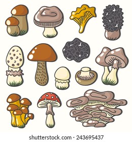 Forest mushrooms icon set. Hand draw illustration.