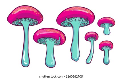 Forest mushrooms. Isolated vector illustrations of colorful mushrooms.