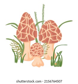 Forest mushrooms morels in three stages of growth and grass.Colorful natural background for printing on fabric and paper.Hand drawn isolated illustration in detailed vector for design card,cover.