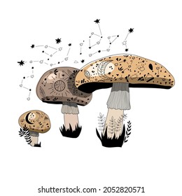 Forest mushrooms. Mystic mushrooms. Floral. Moon and stars.