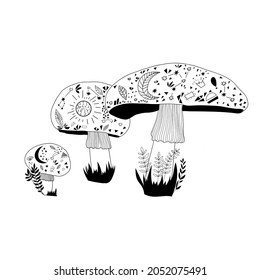 Forest mushrooms. Mystic mushrooms. Floral. Vector illustration.