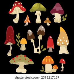 forest mushrooms nature plants grass