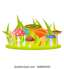 Forest mushrooms on grass lawn vector. Cartoon mushrooms, fungus, amanita, russule and saffron milk cap. Forest fungus in grass.