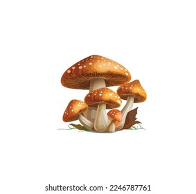 Forest mushrooms with forest plants and grass on a white background. Vector illustration, print for background, print on fabric, paper, wallpaper, packaging.