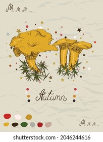 Forest mushrooms poster. Hand drawn healthy food template. Vintage mushrooms background. Botanical