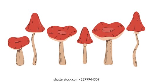 Forest mushrooms with red hats. Six different mushrooms. Toadstool, amanita muscaria. Vector botanical illustration.